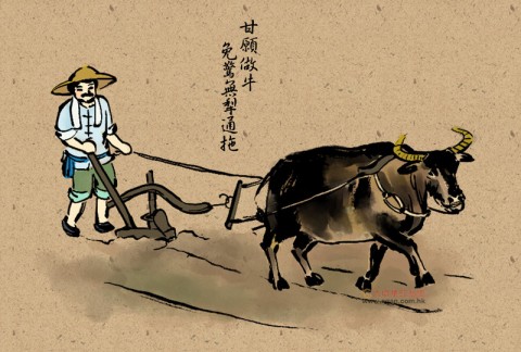 台灣俚語：甘願做牛，免驚無犁通拖