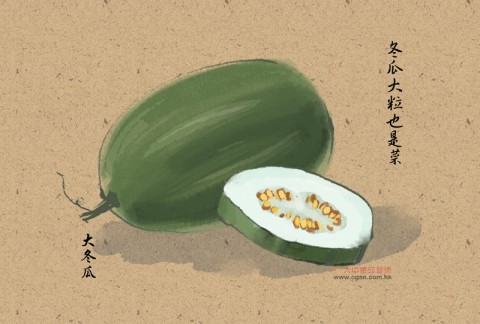 台灣俚語：冬瓜大粒也是菜