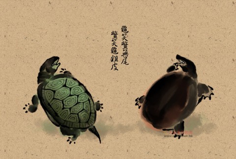 台灣俚語：龜笑鱉無尾，鱉笑龜粗皮