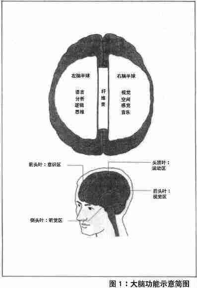 p1.jpg (10265 字节)